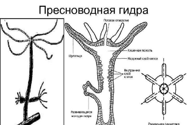 Кракен нар