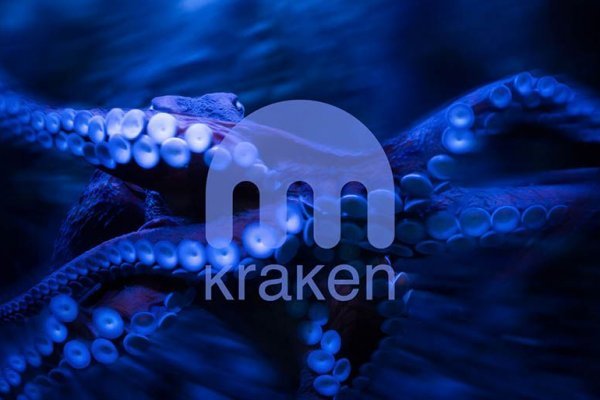 Kraken 17 at net