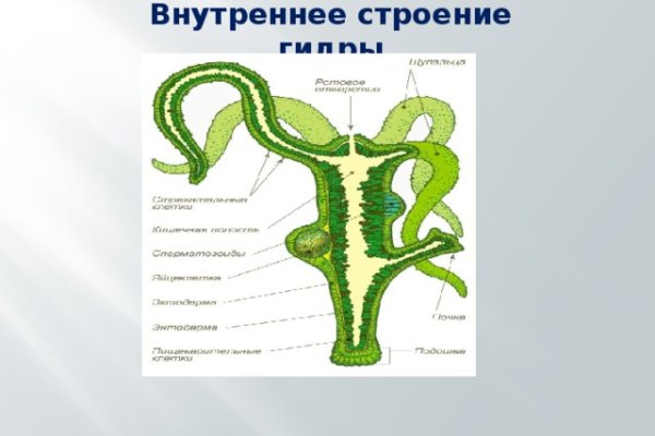 Кракен даркнет только через торг