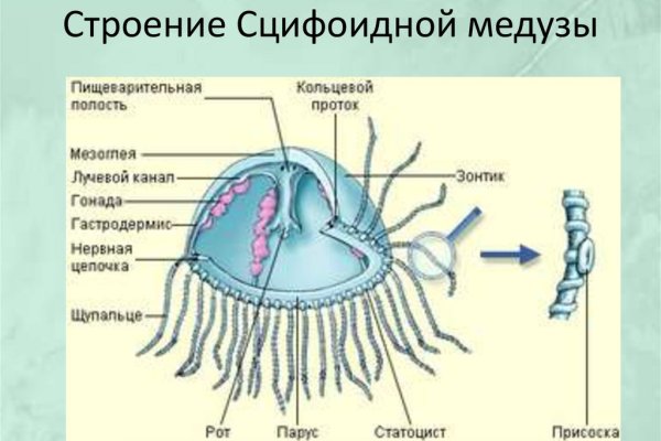 Кракен впн